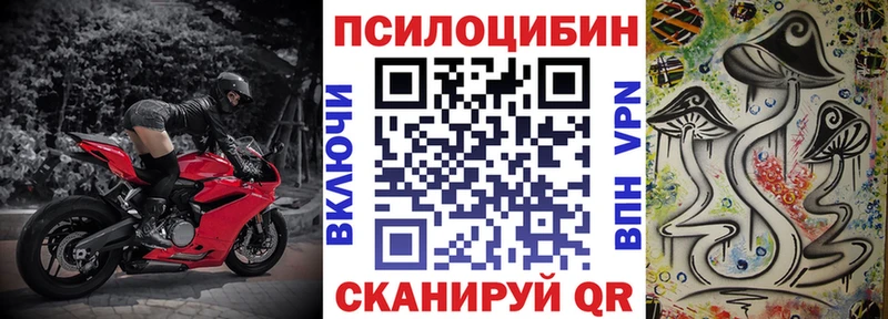 Псилоцибиновые грибы прущие грибы Полевской