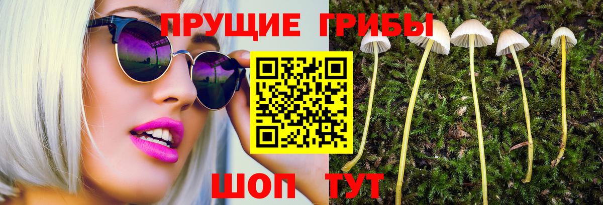 Полевской  Псилоцибиновые грибы MAGIC MUSHROOMS  Вход с VPN 