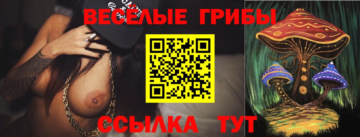 Псилоцибиновые грибы прущие грибы Полевской