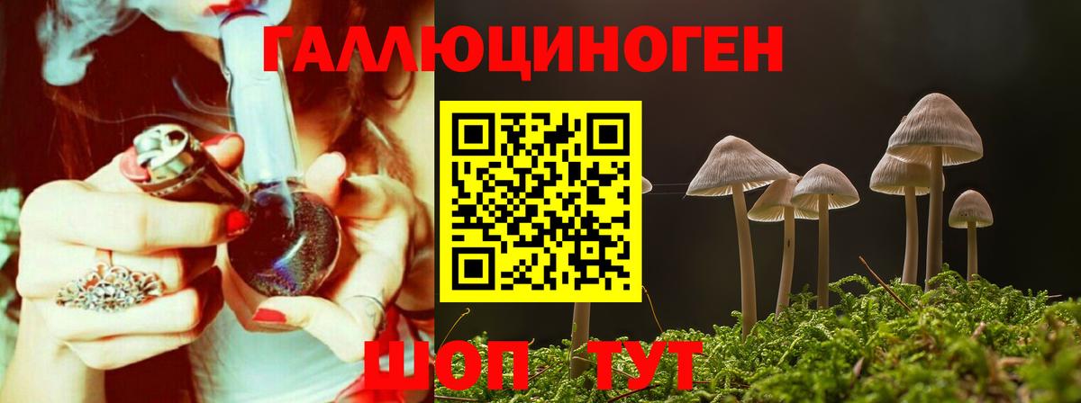 Псилоцибиновые грибы мицелий  Полевской  Галлюциногенные грибы Magic Shrooms 