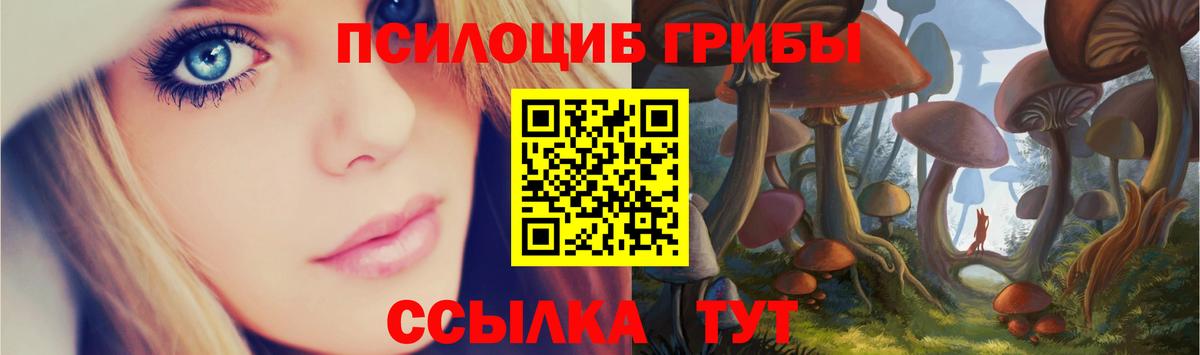 Псилоцибиновые грибы Magic Shrooms Полевской